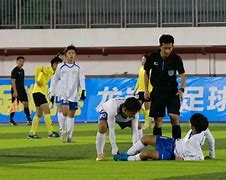 包含国际足球裁判培训体系延伸，打造“裁判中国梦”的词条
