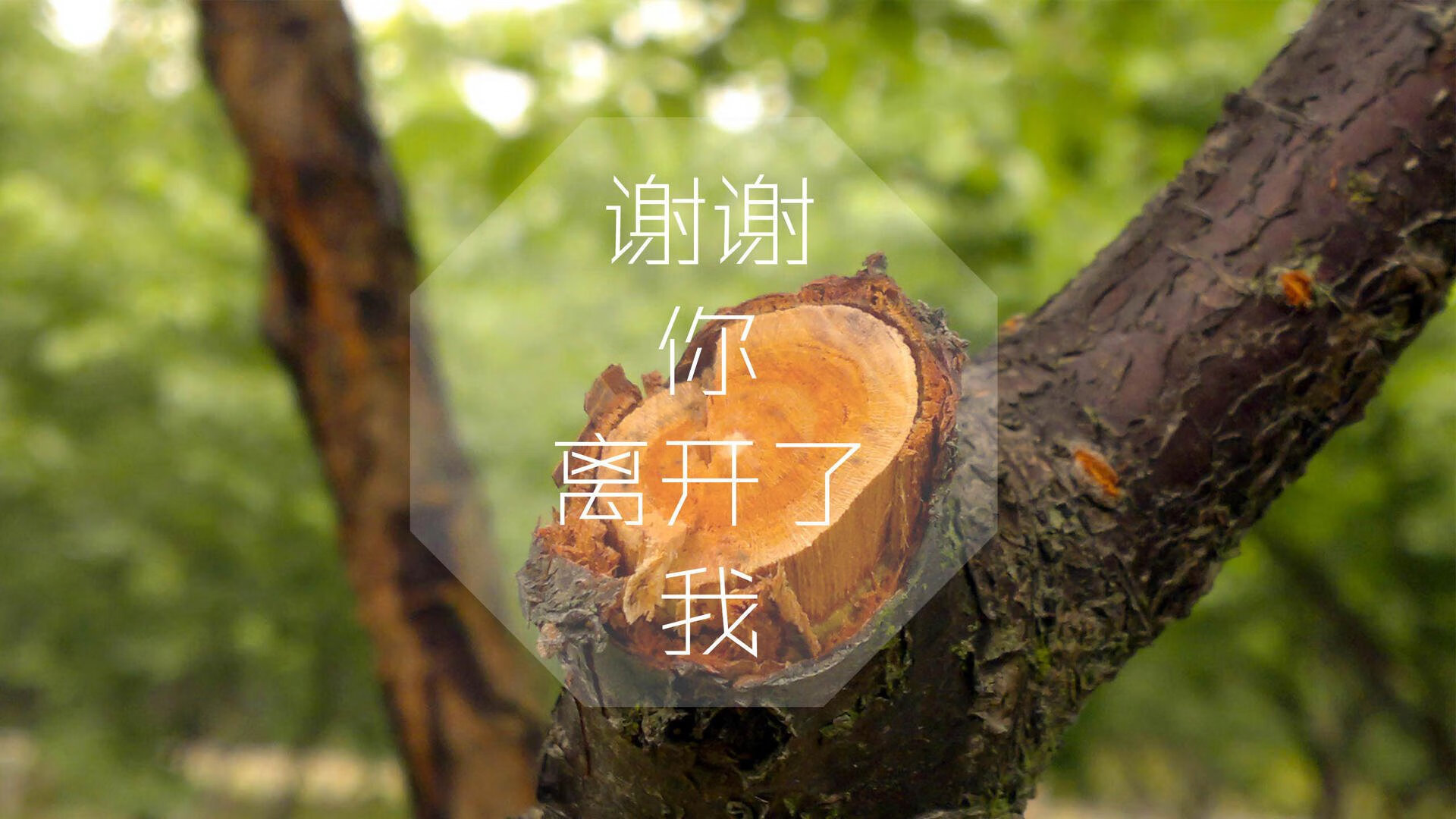 电竞职业选手心理压力调节及竞技状态优化方法研究，电竞选手心理疏导的方法