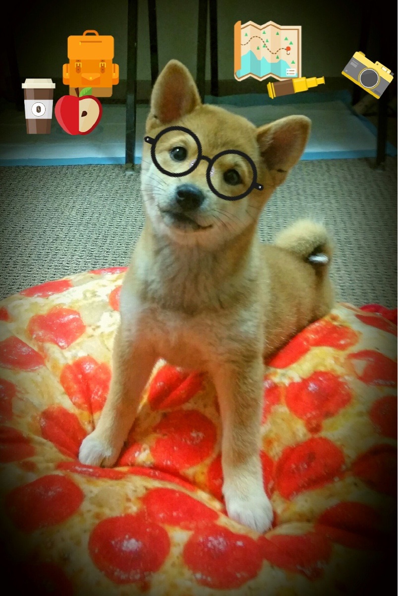 技术动作动作数据与疲劳度关联,技术动作分析软件