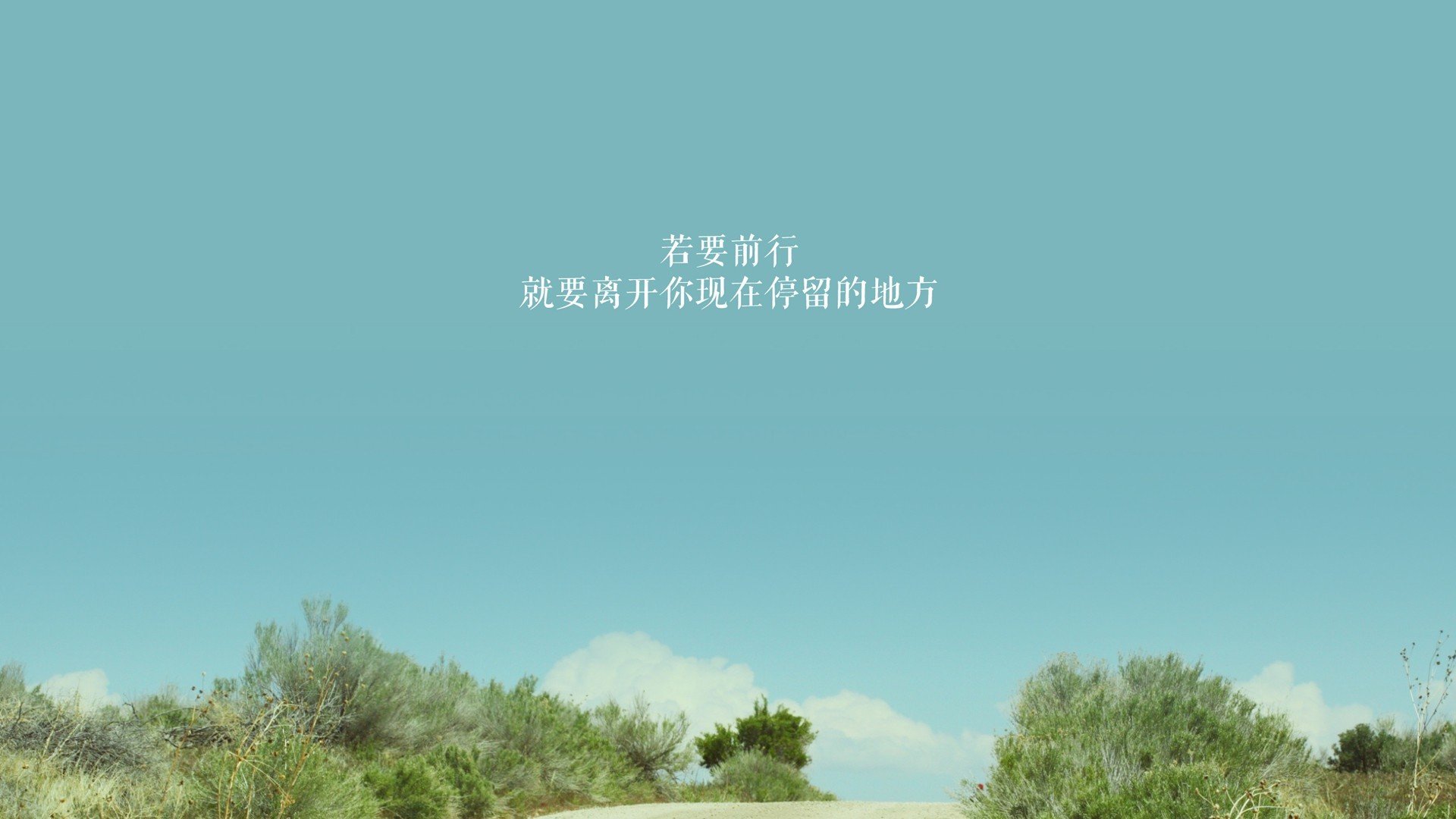 张伟丽接受央视专访谈未来目标，张伟丽再度发声