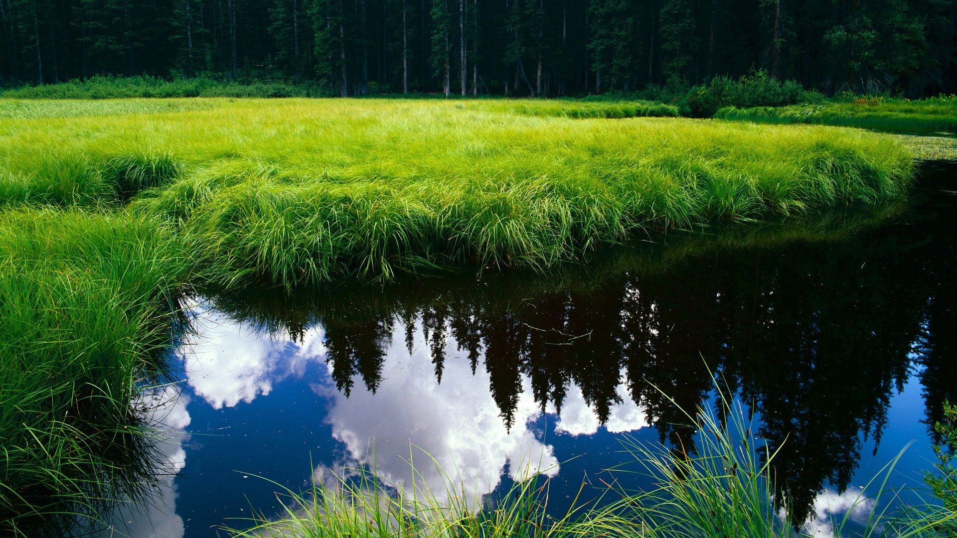 澳大利亚男队全球热度持续攀升,澳大利亚男子足球队名单