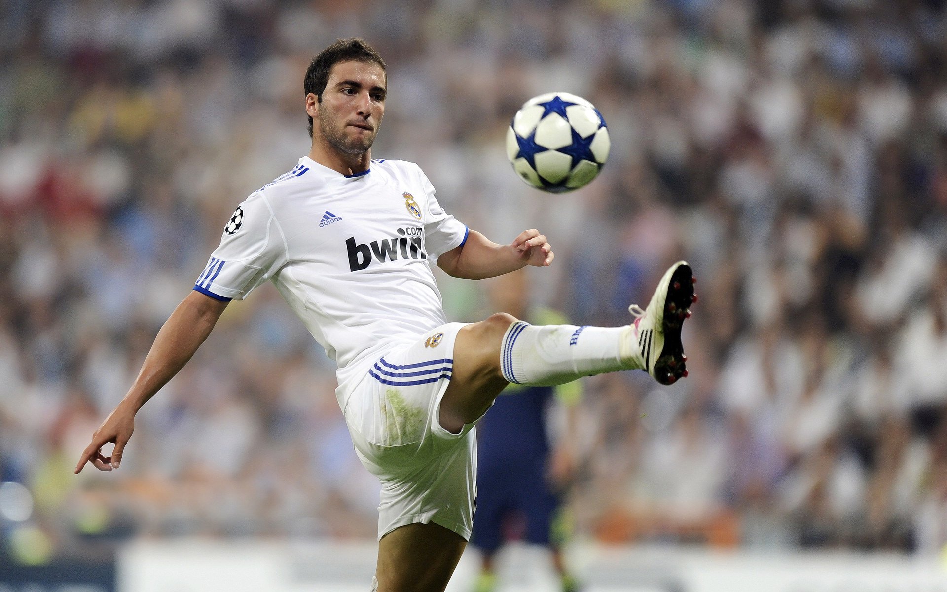 _体育赛事中的绿色环保：低碳运动新风尚_，体育赛事环境污染